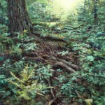 Walk In The Woods V (Print) - Image size 13.25" x 10.5" (34 x 27 cm) - Matted Size 19" x 16" (49 x 41 cm) - Price $125