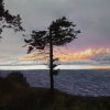 Robin's Bluff, Pastel, 11" X 15"
Copyright A.Heywood 2015