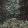 Forest Window 11.5” X 17.5” (29 X 45 Cm), Pastel, $500