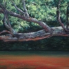 Branch Over Red Water 8.25” X 11” (21 X 28 Cm), Pastel