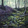 Mountain Trail 26” X 22.5” (67 X 58 Cm), Pastel