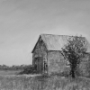 "Black & White Barn", Pastel, 11" X 15" (28 X 38 Cm)