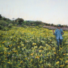 "Sue In Flowers", Pastel, 16.5" X 34" (42 X 87 Cm)